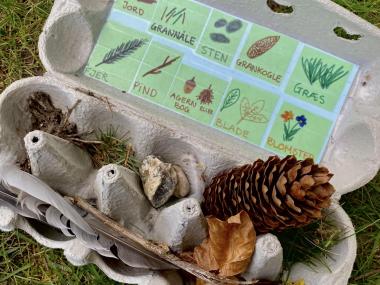 naturbingo